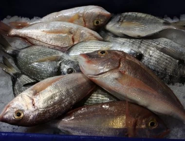 Βρέθηκαν πάνω από 2 τόνοι από ληγμένα κατεψυγμένα ψάρια σε επιχείρηση του Πειραιά